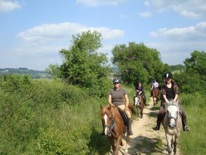 Elsass Querung im Galopp