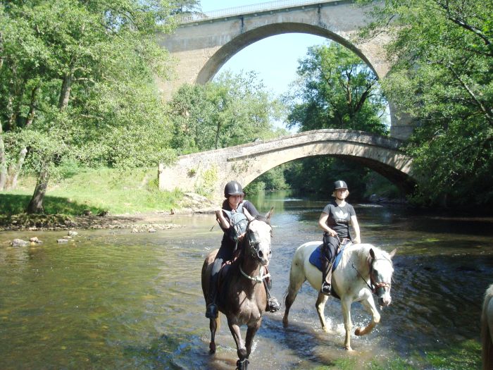 Elsass Querung im Galopp