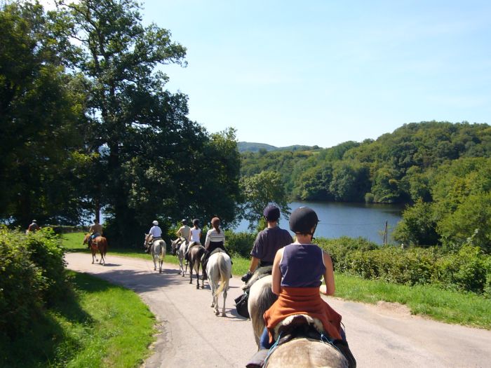 Elsass Querung im Galopp