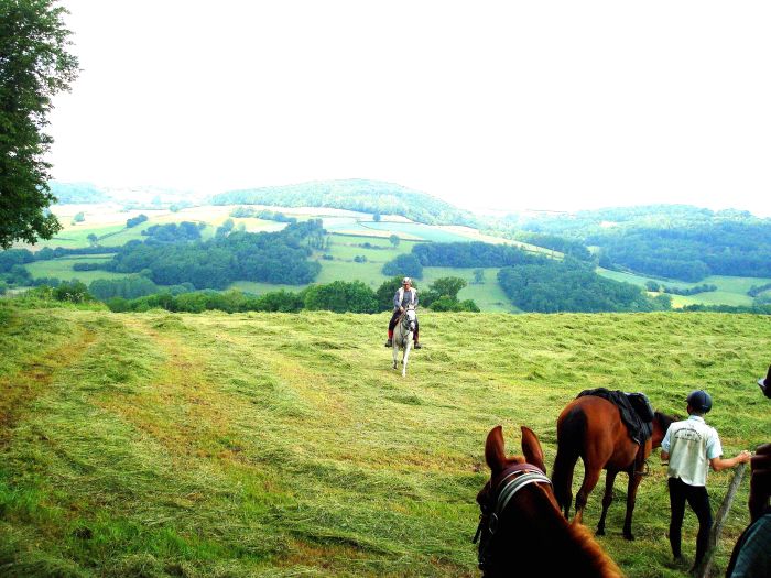 Elsass Querung im Galopp