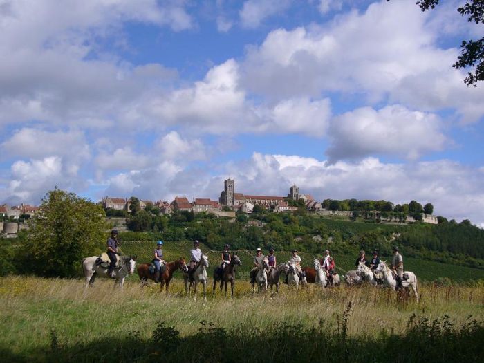 Elsass Querung im Galopp