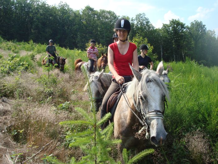 Elsass Querung im Galopp