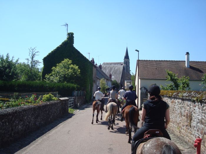 Elsass Querung im Galopp