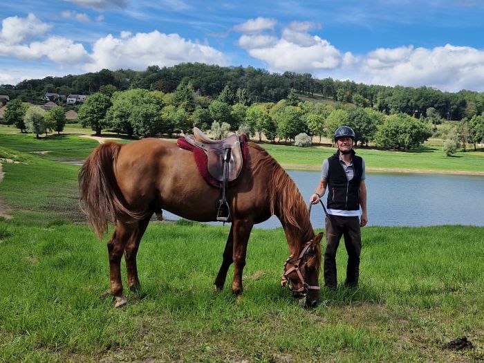 Morvan im Galopp