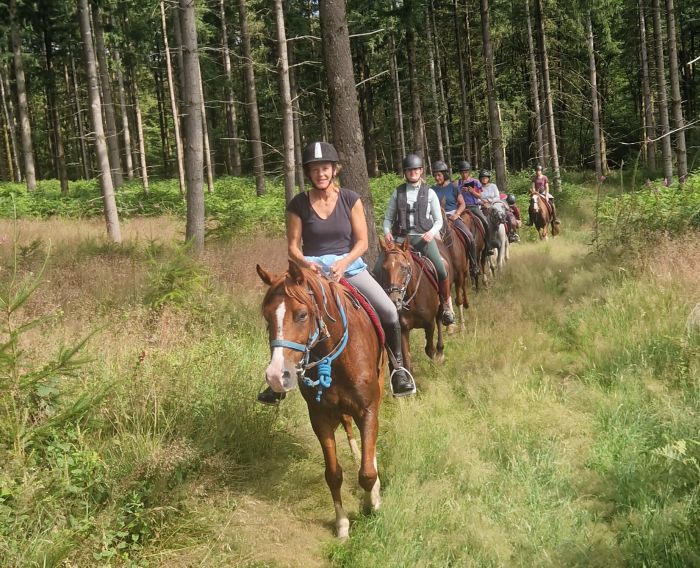 Morvan im Galopp