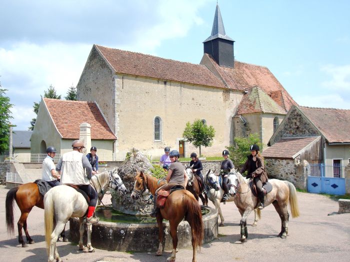 Morvan im Galopp