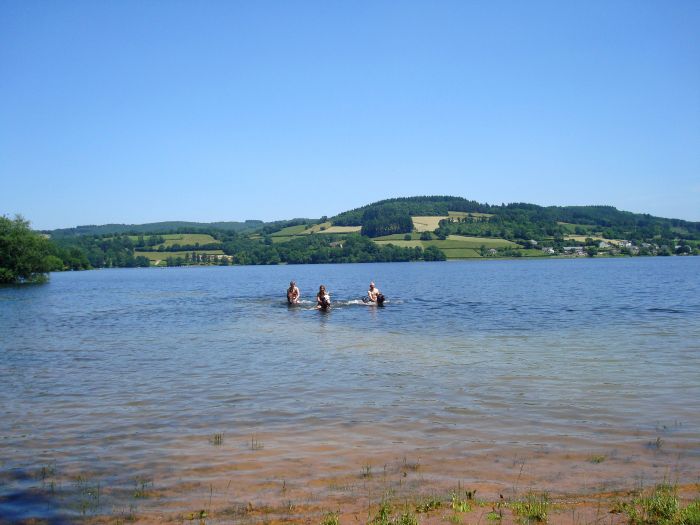 Morvan im Galopp