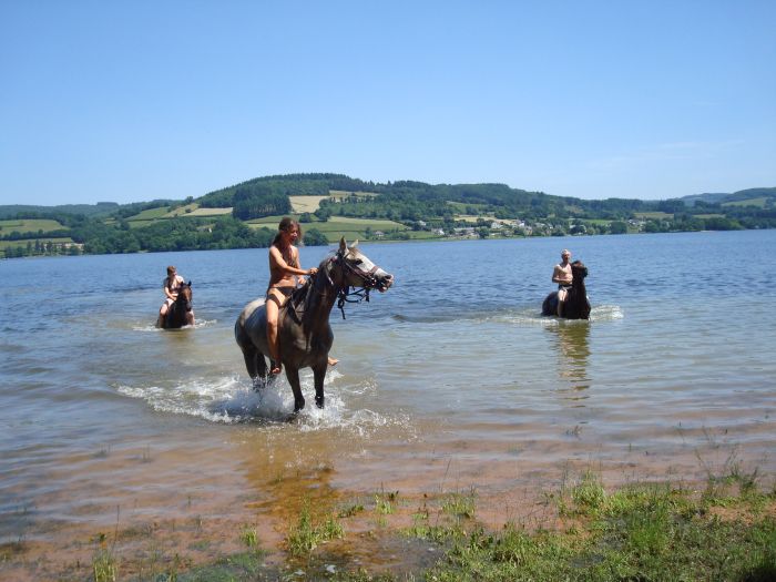 Morvan im Galopp