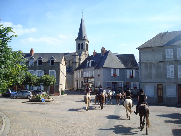 Morvan im Galopp