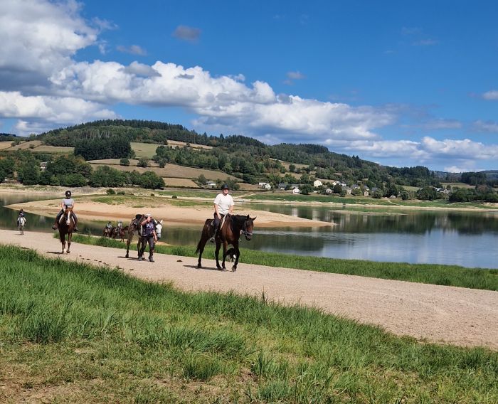 Morvan im Galopp