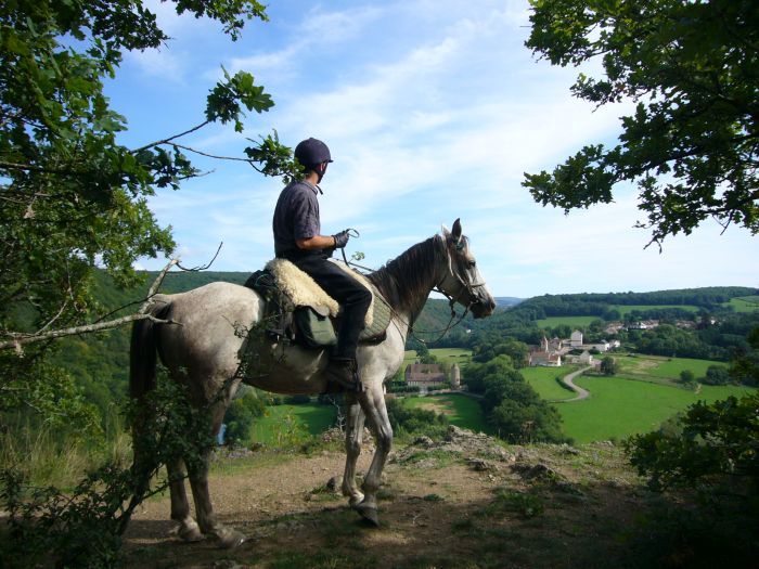 Morvan im Galopp