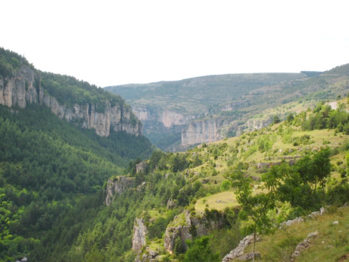 Flotter Bergritt durch die Cevennen
