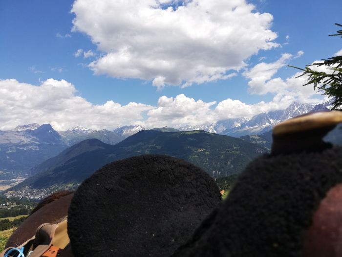 Trail durch die franz&ouml;sischen Alpen (4/5 Tage)