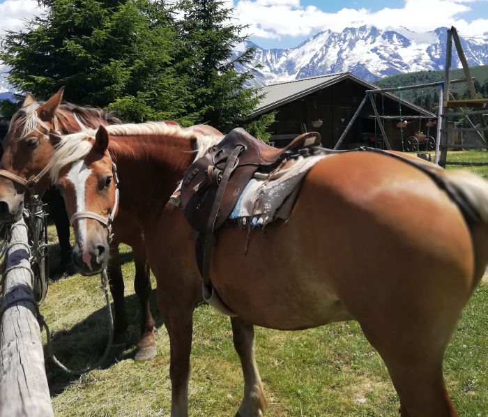 Trail durch die franz&ouml;sischen Alpen (4/5 Tage)