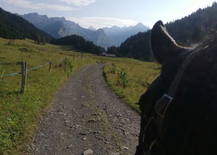 Trail durch die franz&ouml;sischen Alpen (4/5 Tage)