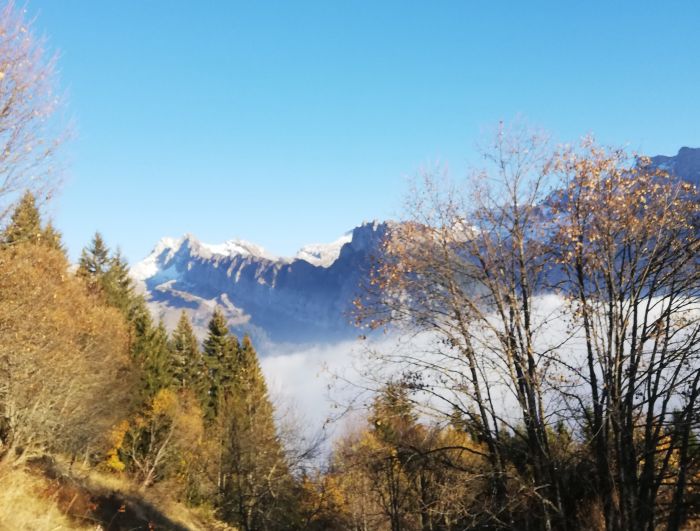 Trail durch die franz&ouml;sischen Alpen (4/5 Tage)