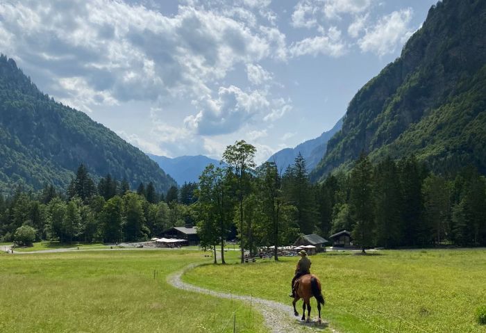 Trail durch die franz&ouml;sischen Alpen (4/5 Tage)