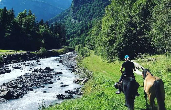 Trail durch die franz&ouml;sischen Alpen (4/5 Tage)