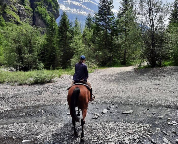 Trail durch die franz&ouml;sischen Alpen (4/5 Tage)