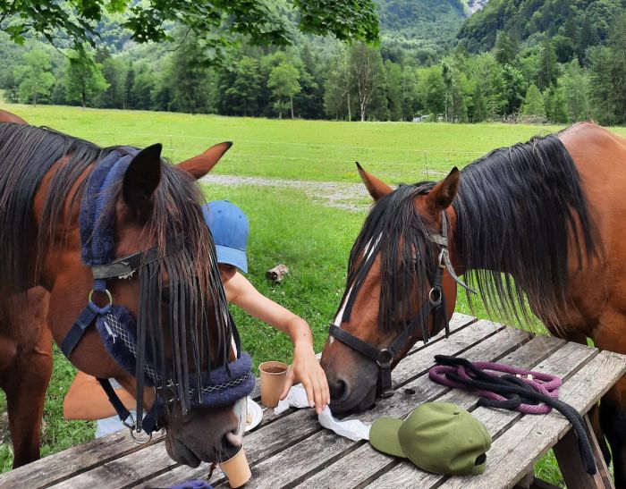 Trail durch die franz&ouml;sischen Alpen (4/5 Tage)