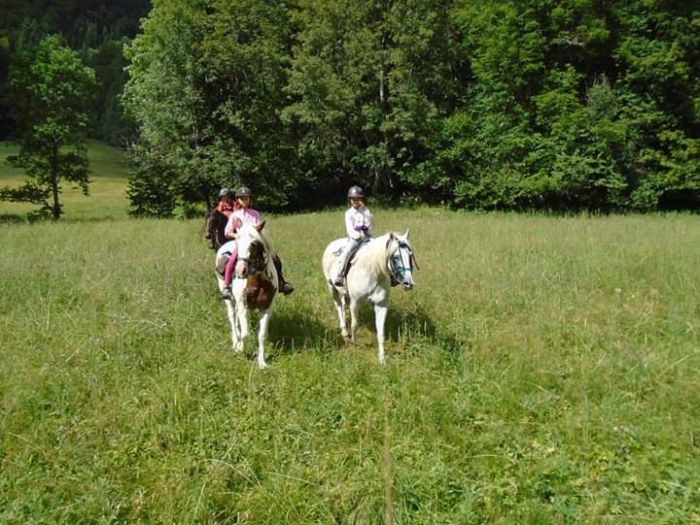 Trail durch die franz&ouml;sischen Alpen (4/5 Tage)