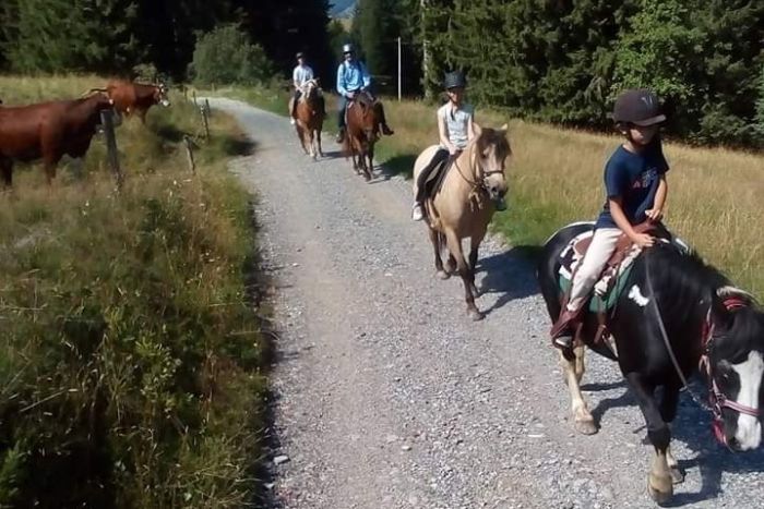 Trail durch die franz&ouml;sischen Alpen (4/5 Tage)