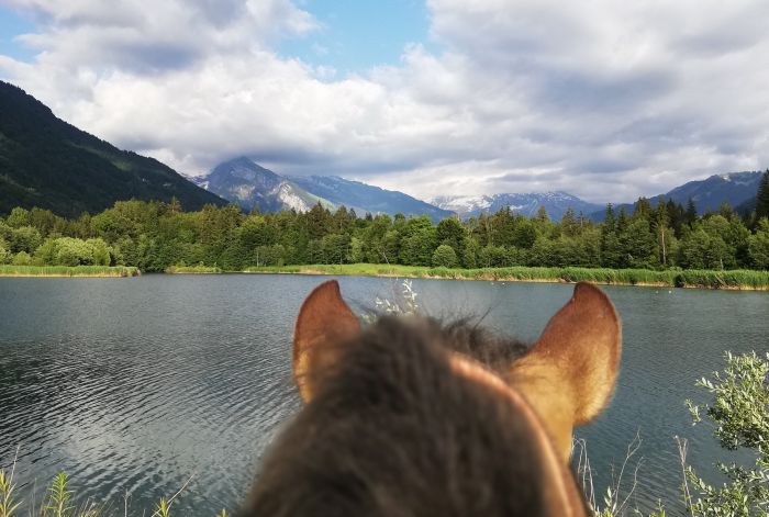 Trail durch die franz&ouml;sischen Alpen (4/5 Tage)