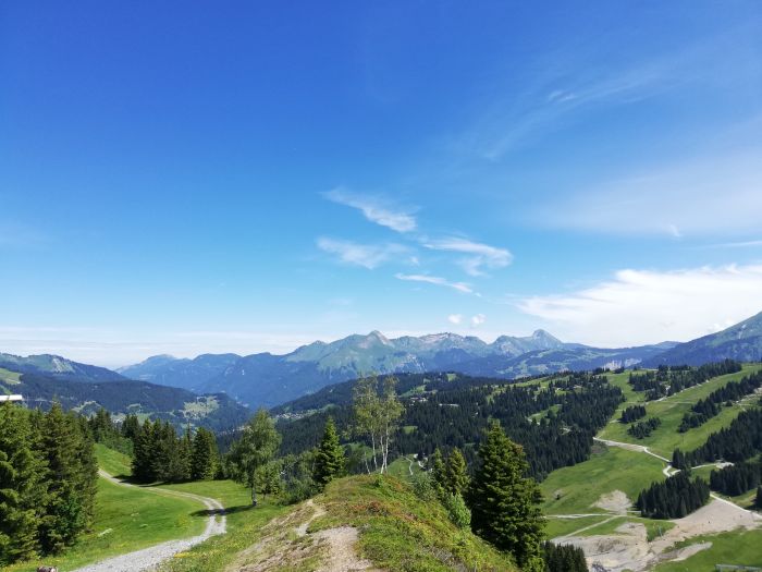 Trail durch die franz&ouml;sischen Alpen (4/5 Tage)