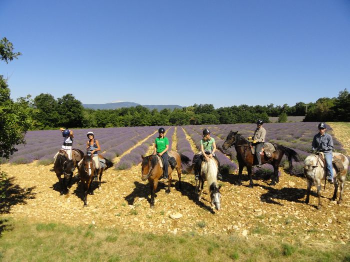 Provence & Camargue Ritte