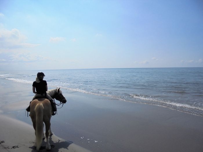 Provence & Camargue Ritte