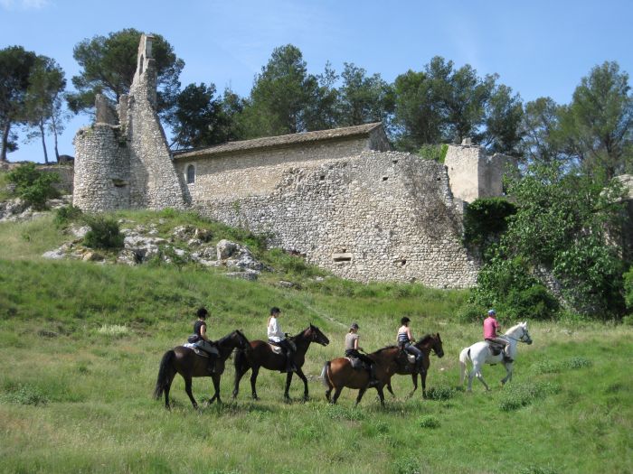 Provence & Camargue Ritte