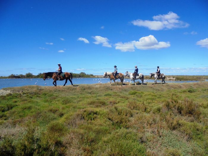 Provence & Camargue Ritte