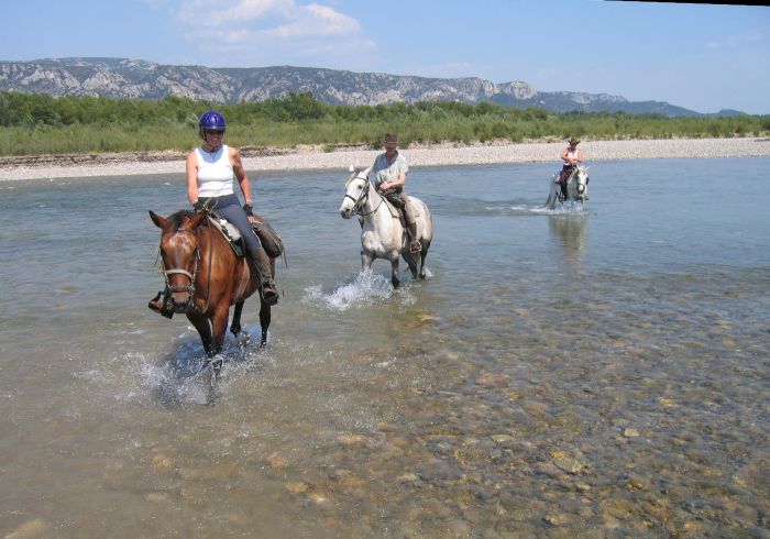 Provence & Camargue Ritte