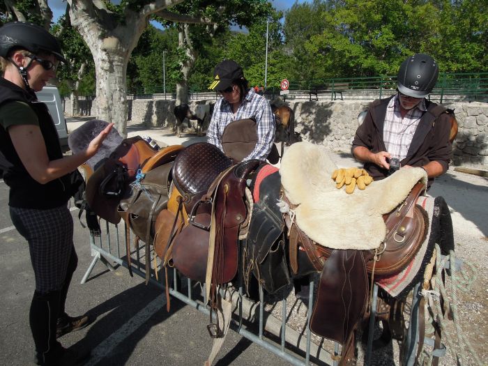 Provence & Camargue Ritte