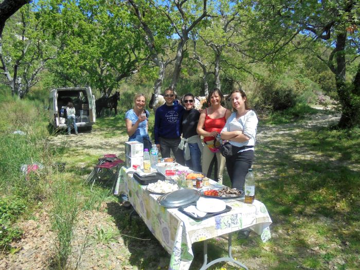 Provence & Camargue Ritte