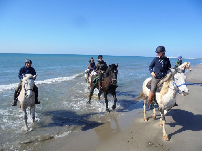 Provence & Camargue Ritte