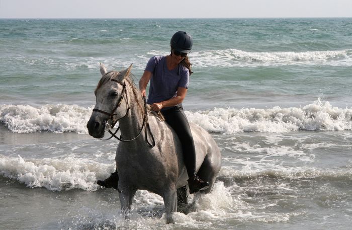 Provence & Camargue Ritte