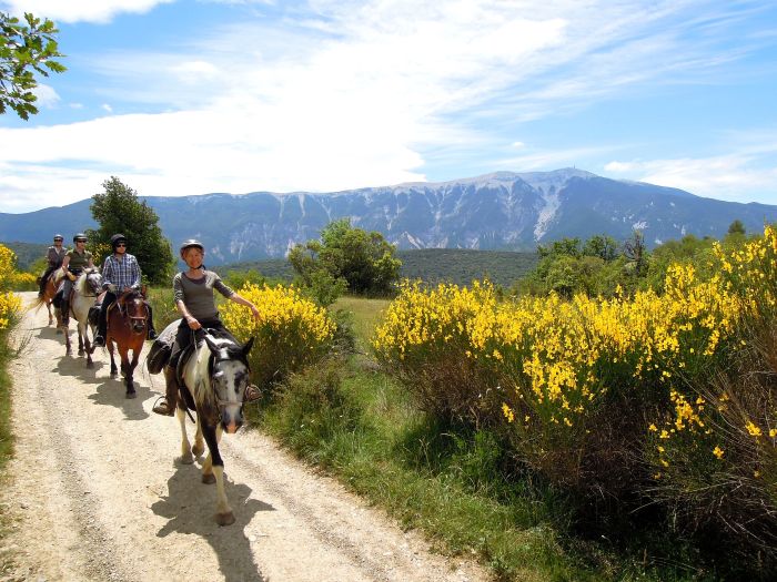 Provence & Camargue Ritte