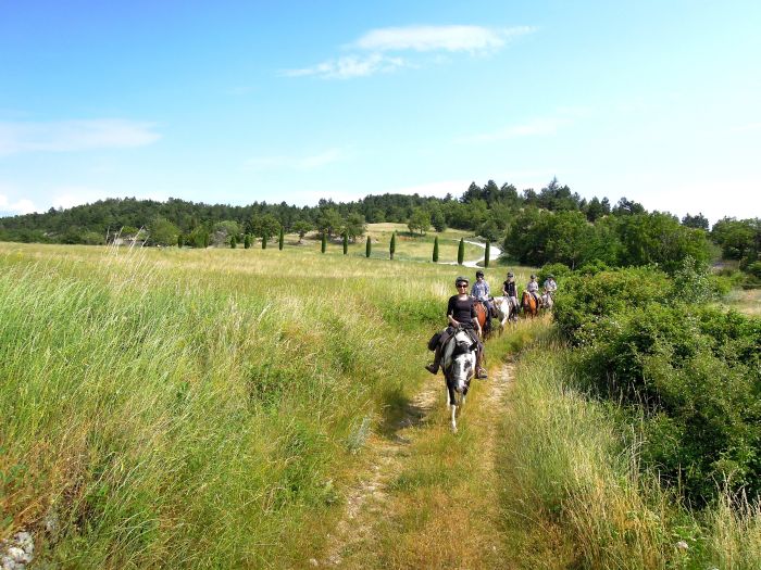 Provence & Camargue Ritte