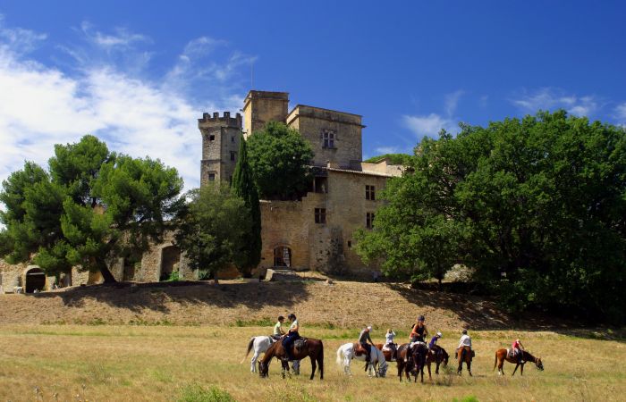 Provence & Camargue Ritte