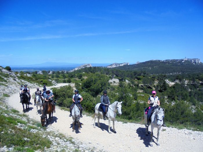 Provence & Camargue Ritte