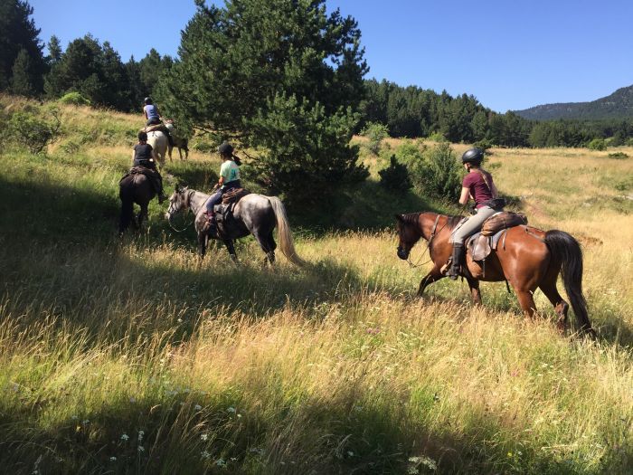 Wanderreiten im Herzen der Pyrenäen