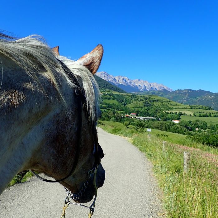 Wanderreiten im Herzen der Pyrenäen