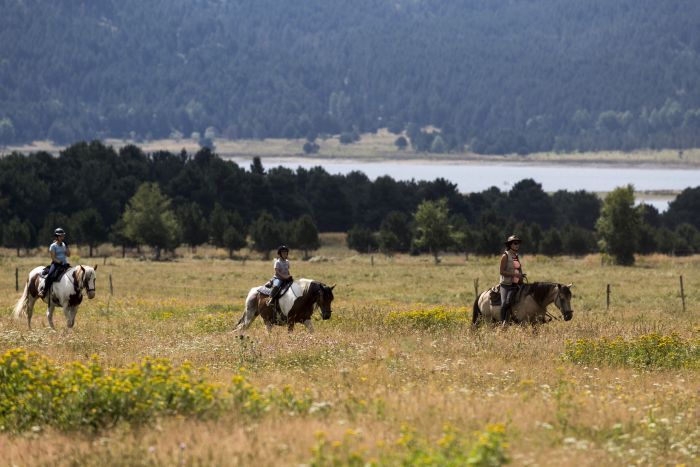 Wanderreiten im Herzen der Pyrenäen