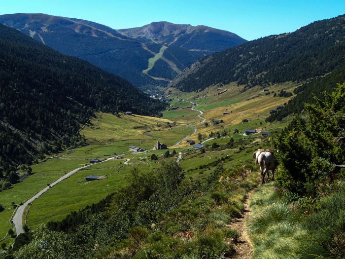 Wanderreiten im Herzen der Pyrenäen