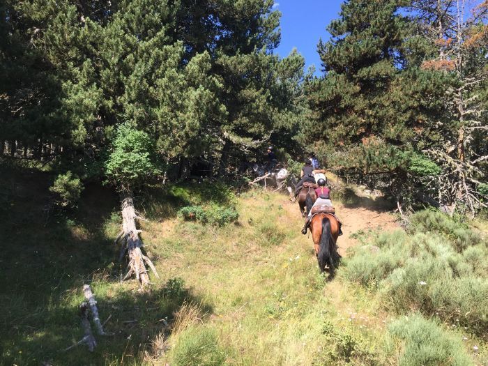 Wanderreiten im Herzen der Pyrenäen