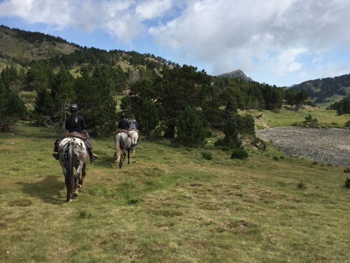 Wanderreiten im Herzen der Pyrenäen