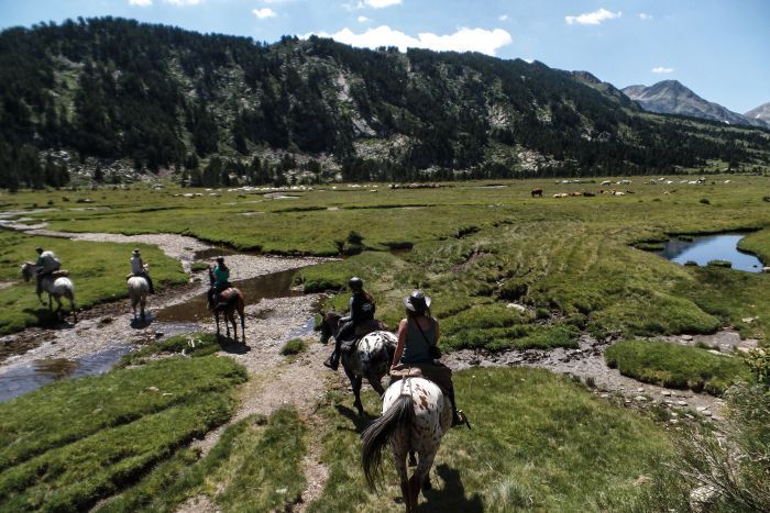 Wanderreiten im Herzen der Pyrenäen