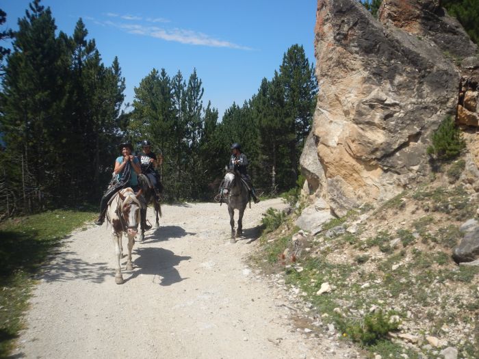 Ausritte in den Pyrenäen und Reiten lernen im Gelände