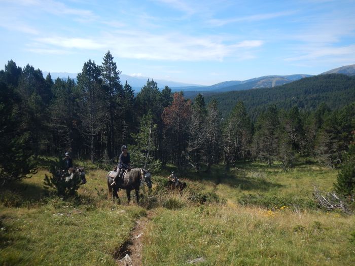 Ausritte in den Pyrenäen und Reiten lernen im Gelände